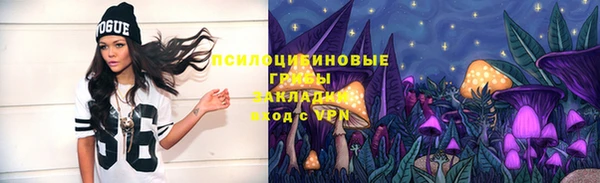 кокаин Белокуриха