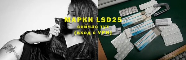 стаф Тобольск