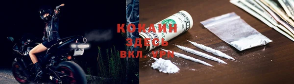 стаф Тобольск
