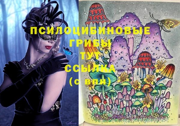 кокаин Белокуриха