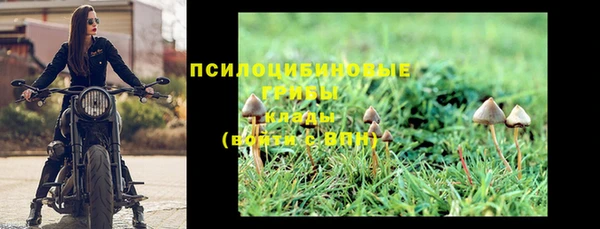кокаин Белокуриха
