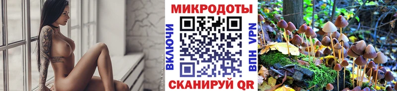 Псилоцибиновые грибы прущие грибы  Верещагино 